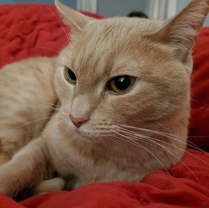 Meet your Posher, Renee